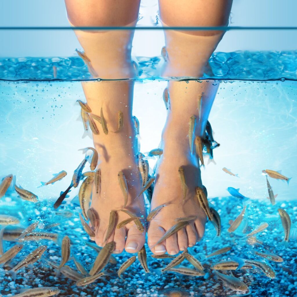 nail salon fish pedicure​